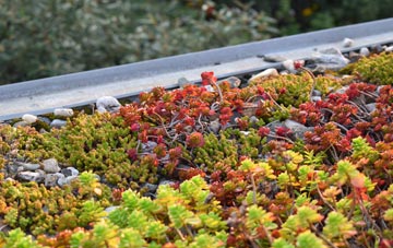the cost of Penceiliogi green roof installation
