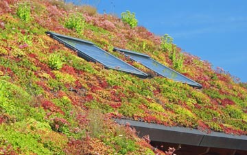 Penceiliogi living roof systems