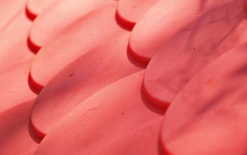 Penceiliogi plastic roof costs